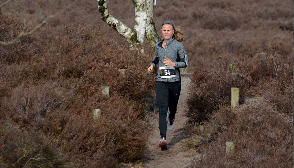 header-rvhl-1920x1100